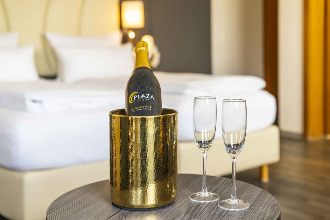 PLAZA Hotel Buchhorner Hof