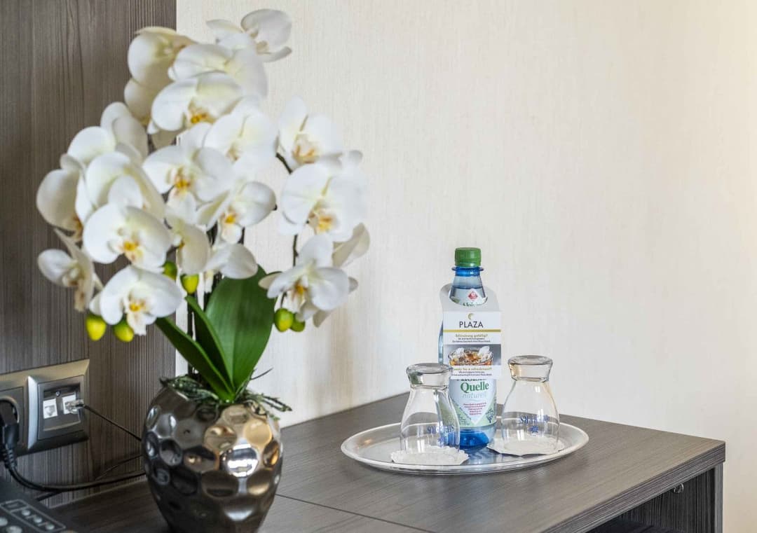 PLAZA Hotel Buchhorner Hof