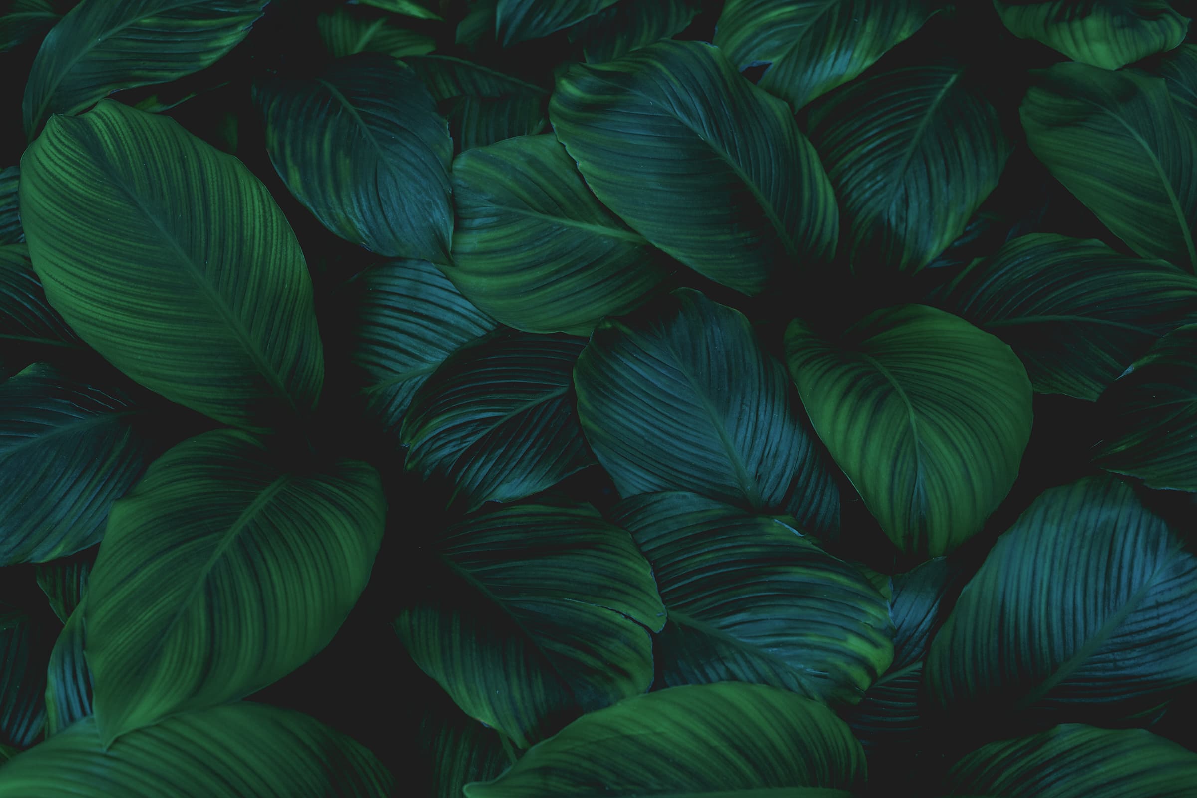 Think Green